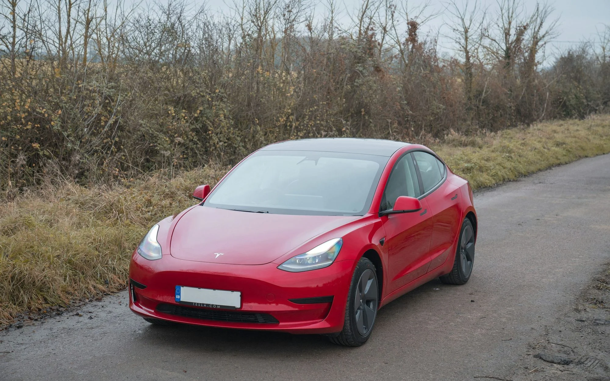Red Tesla Model 3 parked on a narrow country lane beside a bare winter hedgerow