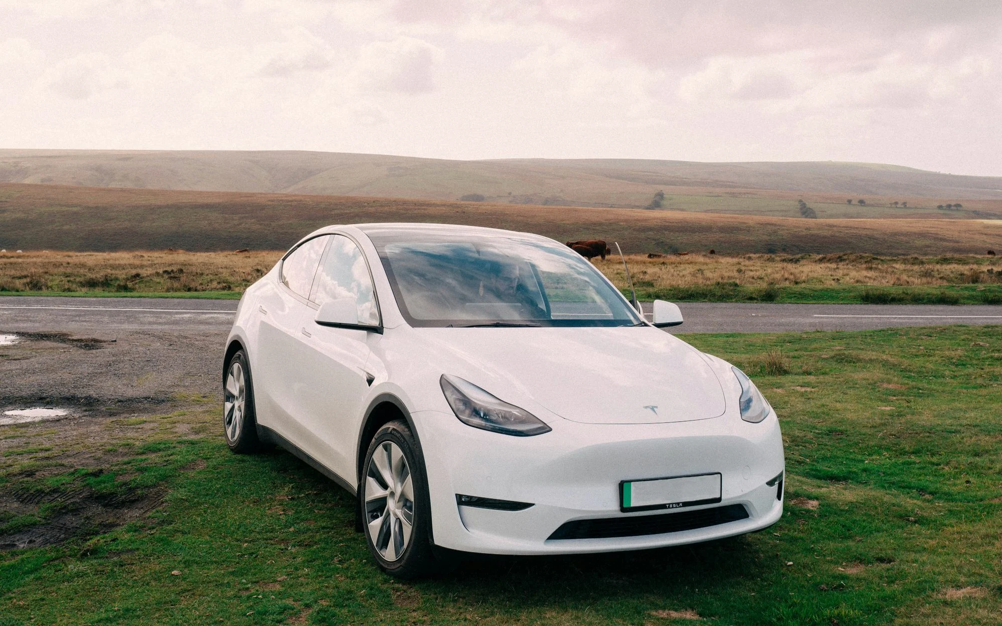 White Tesla Model Y parked on grass beside a moorland road on Exmoor, with cattle grazing behind