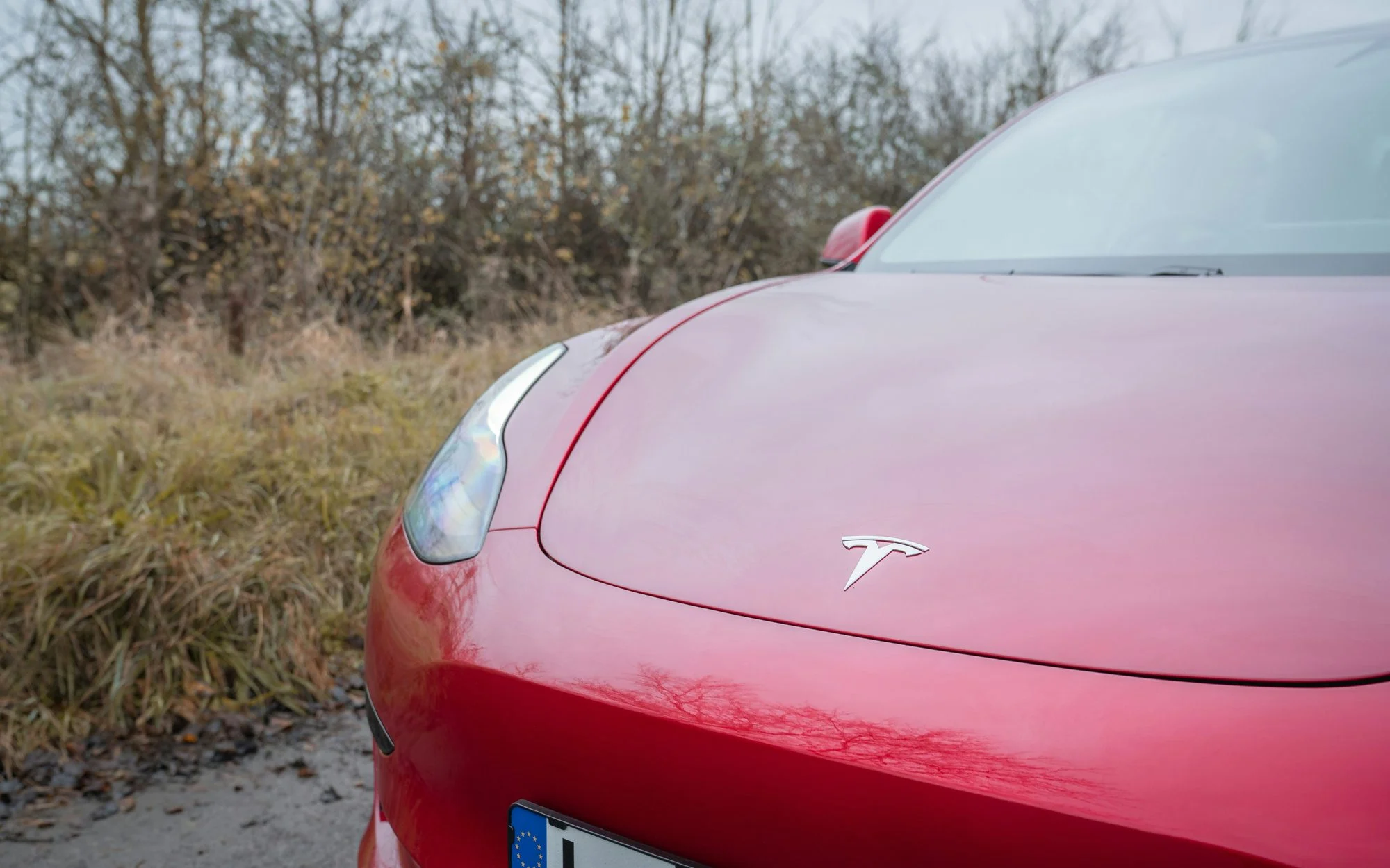 Bonnet of a red Tesla Model 3 parked beside a bare winter hedgerow on a damp lane
